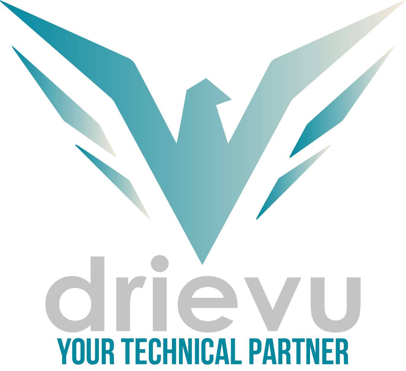 Drievu Logo